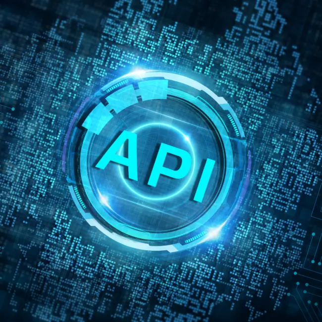 Integracja API SMSBIZ